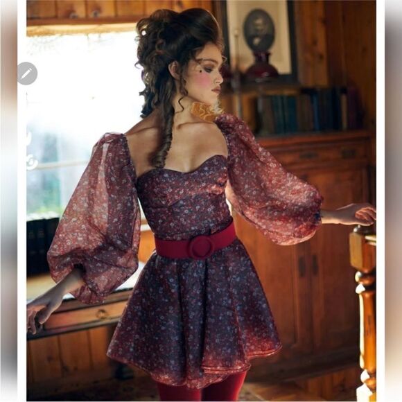 NWT Selkie The Crimson Princess Mini Dress - Picture 17 of 17